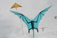Cervia
                  2014 262