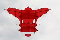 Cervia
                  2014 369