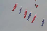 Cervia
                  2014 381