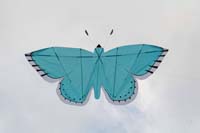 Cervia
                  2014 393