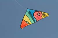 Cervia
                  2014 437