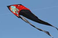 Cervia
                  2014 492