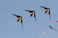 Cervia
                  2014 503