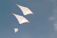 Cervia
                  2014 509