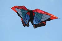 Cervia
                  2014 534