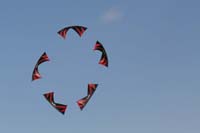 Cervia
                  2014 539