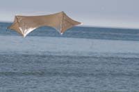Cervia
                  2014 581