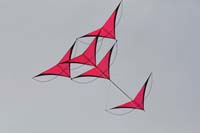 Cervia
                  2014 591