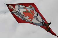 Cervia
                  2014 593