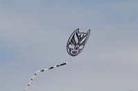 Cervia
                  2014 603