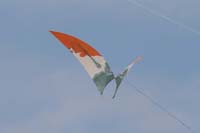 Cervia
                  2014 604