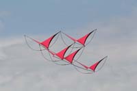 Cervia
                  2014 605