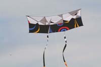 Cervia
                  2014 610