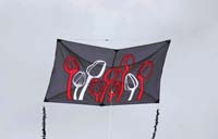 Cervia
                  2014 612