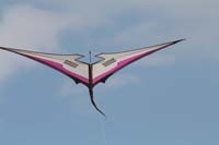 Cervia
                  2014 614