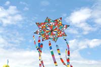 Cervia
                  2014 621