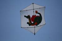 Cervia
                  2014 823