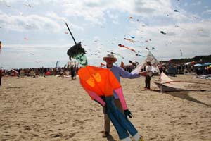 Cervia15 491