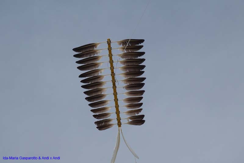 Cervia 16-die Drachen_102