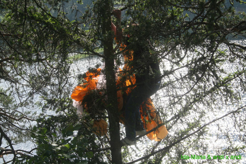 Andalo 080500