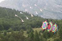 Andalo 080448