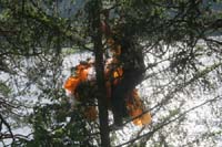 Andalo 080500