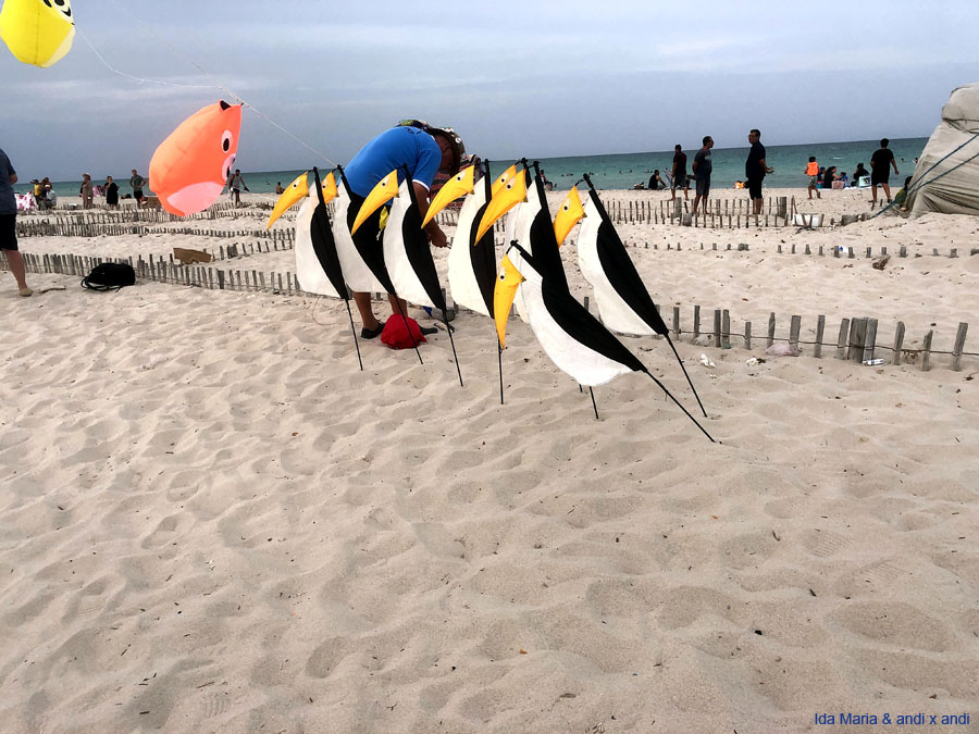 Djerba 24 (10)