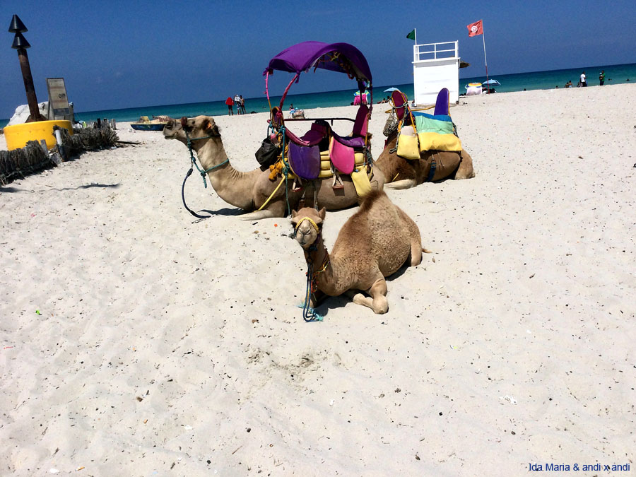 Djerba 24 (25)