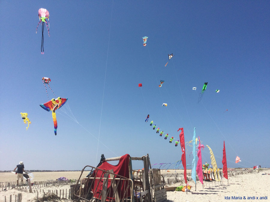 Djerba 24 (9)