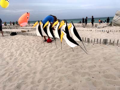 Djerba 24 (10)
