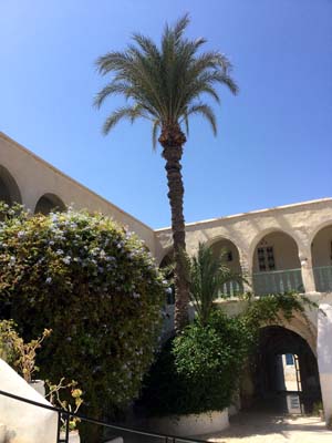 Djerba 24 (18)