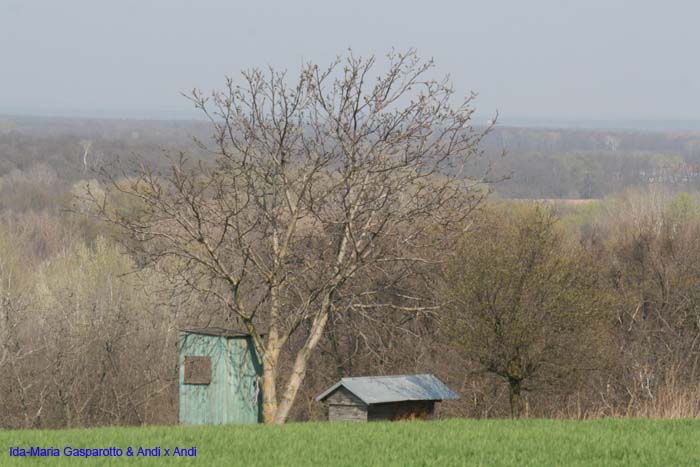 Doppler ueber Mannersdorf_032