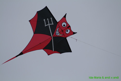 Dreikonigsfliegen07_0028
