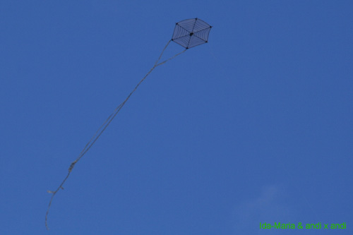 Dreikonigsfliegen07_0088