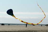 Fanoe 12
                  1064