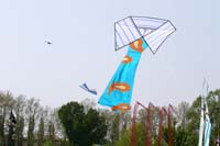 Ferrara
                  13_010