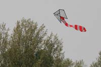 Ferrara
                  13_011