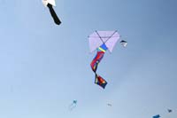 Ferrara
                  13_015