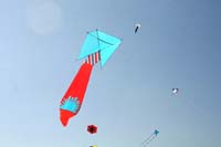 Ferrara
                  13_016