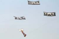 Ferrara
                  13_018