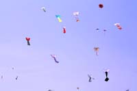 Ferrara
                  13_020