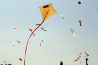 Ferrara
                  13_021