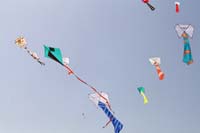 Ferrara
                  13_022