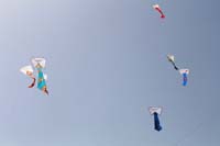 Ferrara
                  13_023