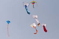 Ferrara
                  13_024