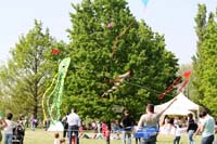 Ferrara
                  13_025