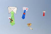 Ferrara
                  13_026