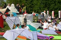 Ferrara
                  13_029