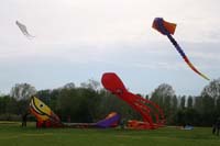 Ferrara
                  13_032