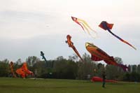 Ferrara
                  13_034